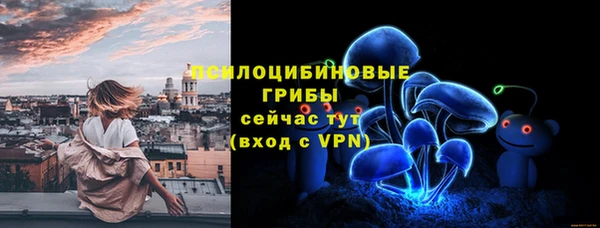 ГАЛЛЮЦИНОГЕННЫЕ ГРИБЫ Бронницы